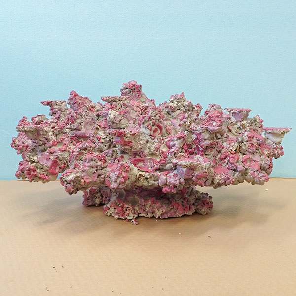 【2】発送要相談 人工ライブロック ペイント済 擬岩 1ピース 90cm水槽用! 【ライブロック】 (t108