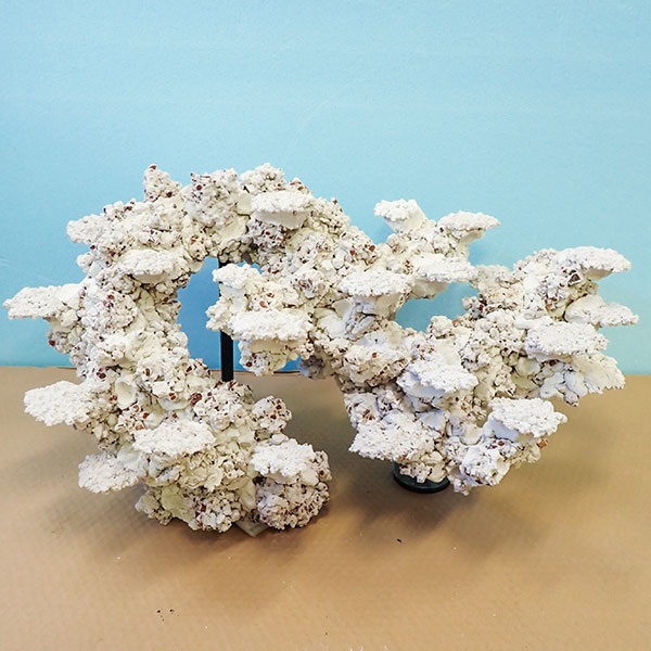 【6】発送要相談 人工ライブロック 擬岩 1ピース 90cm水槽用! 【ライブロック】 (t108