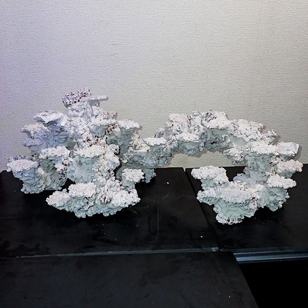 【20-5】店頭販売のみ 1200水槽用 人工ライブロック 擬岩 2ピース! 【ライブロック】 (t108