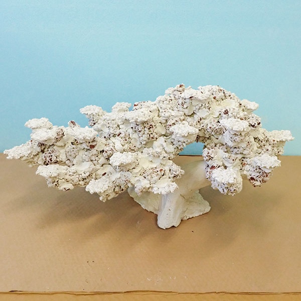 【5】発送要相談 人工ライブロック 擬岩 1ピース 90cm水槽用 !【ライブロック】 (t108