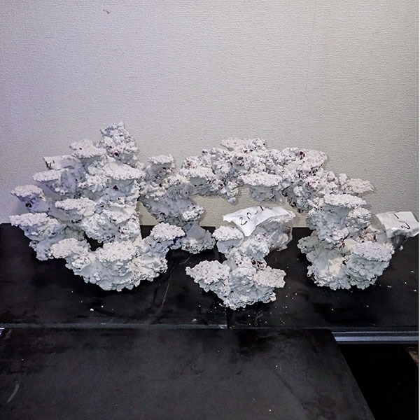 【20-14】店頭販売のみ 人工ライブロック 擬岩 3ピース! 【ライブロック】 (t108