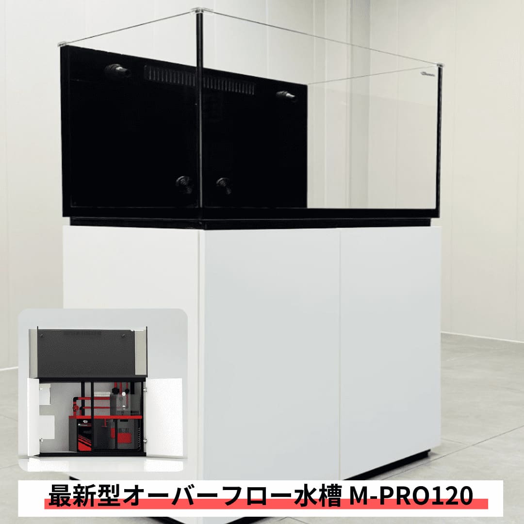 【全国配送対応】120cm 新型オーバーフロー水槽 M-PRO120 キャビネット 黒・白選択可  アクアギフト ネプチューンキューブ t183